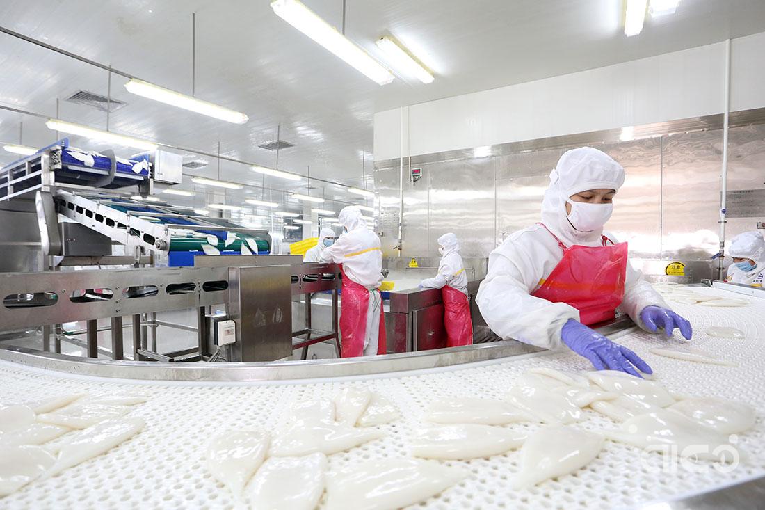 Squid workshop 6.jpg