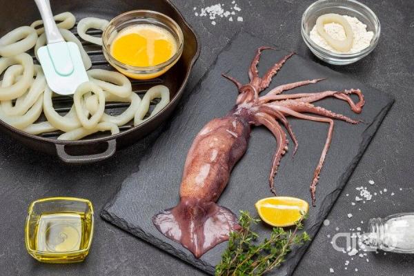 Argentina's Squid Catch Expected to Set the Strongest Fishing Record in a Decade!